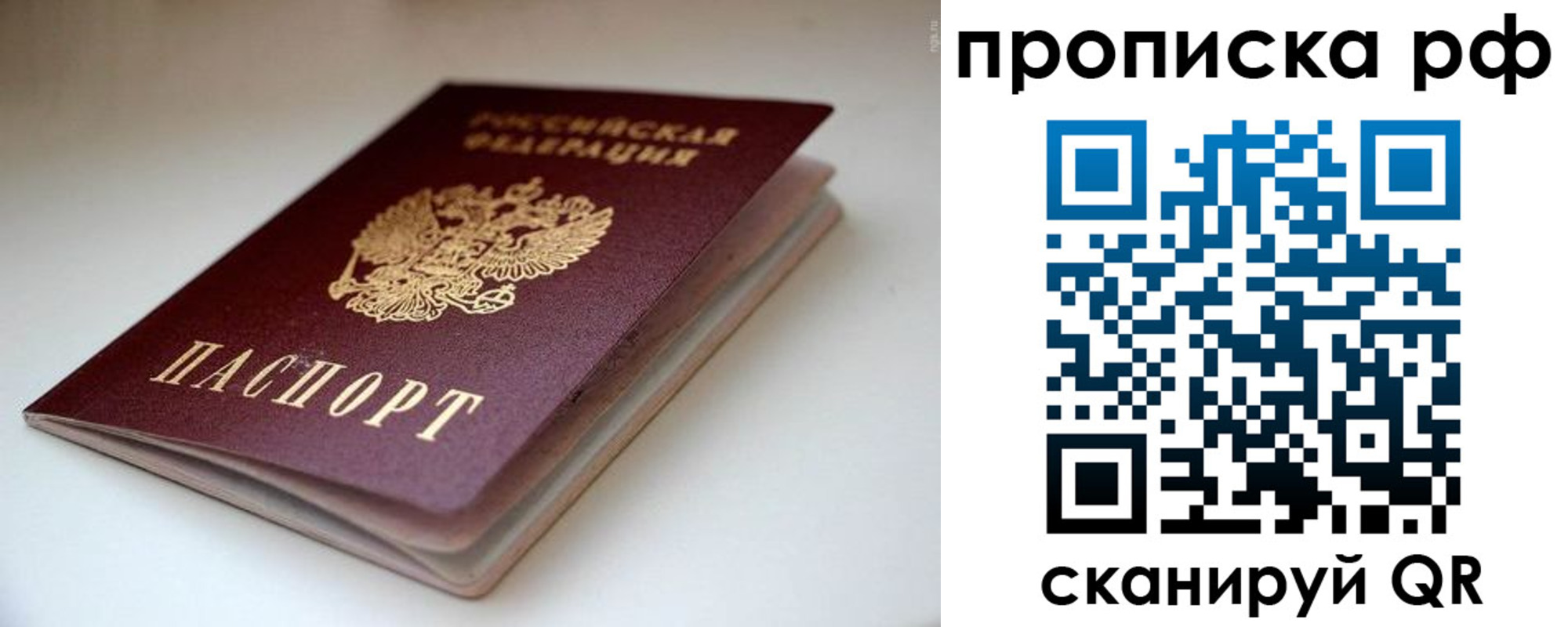 прописка 2025 в Кургане